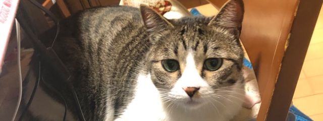 優吾(L)👿🖤🐈⬛ 🌷☁️💎 🍒🌷🌨️さんの壁紙画像