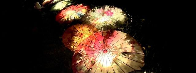 朱那さんの壁紙画像