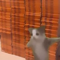 ちゃむさんのアイコン画像