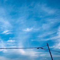 れもんてぃー🍋さんのアイコン画像