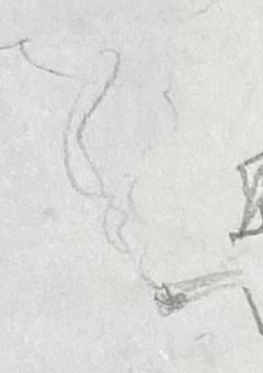 賢治の成り代わりは圧倒的実権を握った様です