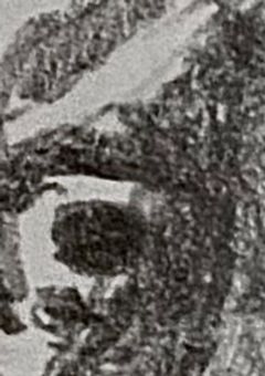 前世があることを思い出した中也は何故か愛され始めた。