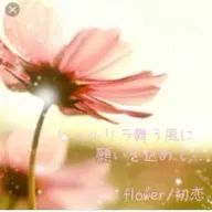 MISAKIさんのアイコン画像