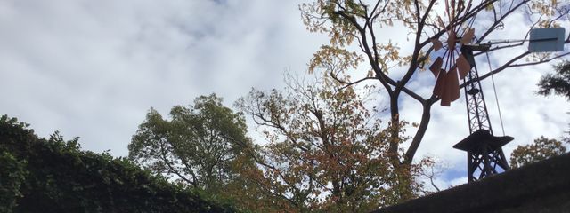 りゅーさんの壁紙画像