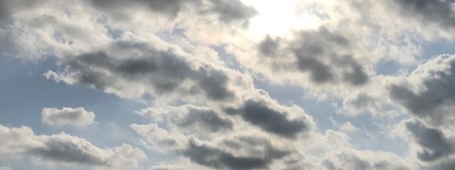 瑠々葉さんの壁紙画像