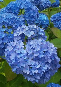 付喪神妖怪学校へ