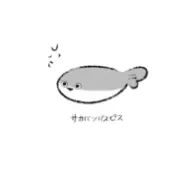 ダイコンさんのアイコン画像