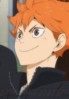 日向翔陽の双子の妹、愛されキャラな件について