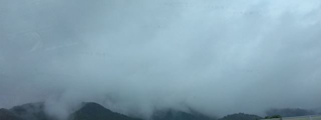 さけᗦ↞◃さんの壁紙画像