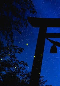 今宵、鈴が鳴る   【 〆切 】