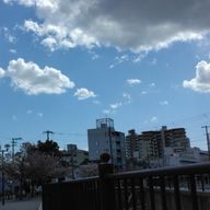 オニギリーヌさんのアイコン画像