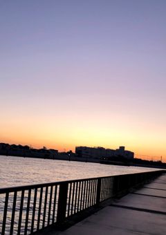 気に入りまとめ 