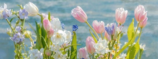 宇宙人になりたいさんの壁紙画像