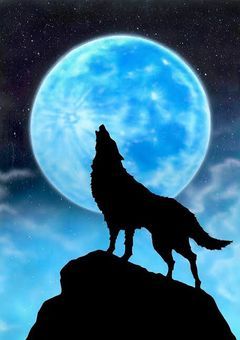 WOLF＿僕が狼になるまで＿