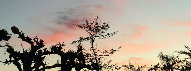 うろこな@🍬໒꒱@書き手さんの壁紙画像