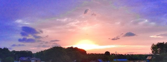 夏目  蒼さんの壁紙画像