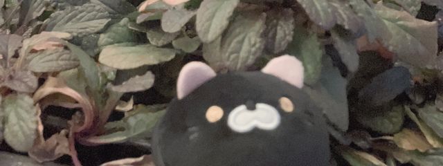 春はあげぽよ清少納言ᒼᑋªⁿ✿さんの壁紙画像