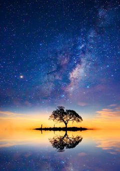 にじさんじ箱推しYouTuberですが？