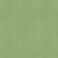 さぼてん🌵 🐑🧩さんのアイコン画像