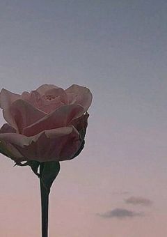 愛されてます.