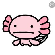 うぱさんのアイコン画像