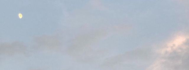 こあさんの壁紙画像