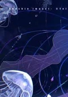 🏹  師匠教  (  くらげ 教   )  🪼