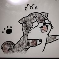 交通事故にあったもかかも★ﾌｫﾛﾊﾞ100000ﾊﾟ~!さんのアイコン画像