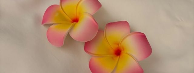 ♡さんの壁紙画像