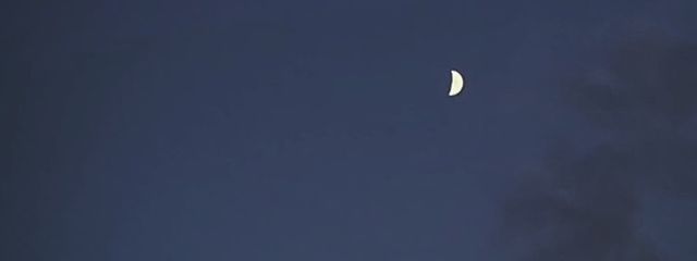 ゆっしーさんの壁紙画像