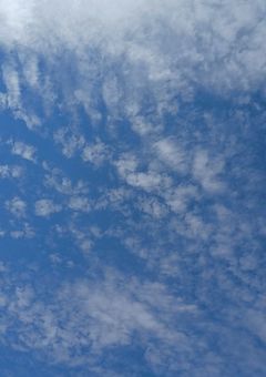 ☃️が拾った女の子