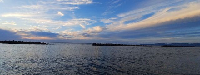 蝶那   🦋❄🦭さんの壁紙画像