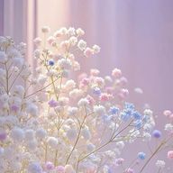 蝶那   🦋❄🦭さんのアイコン画像