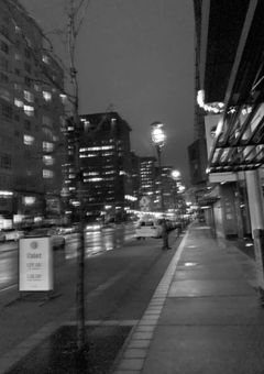 妹の代わりに拾われました