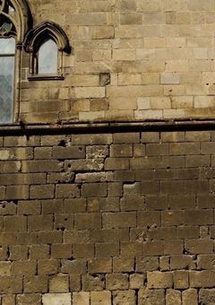 雪の人達のDom/Sub事情。