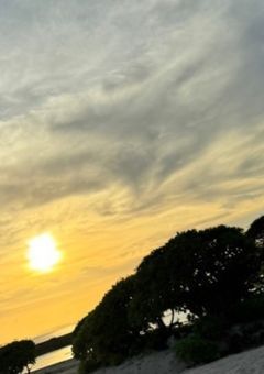 赤の雪が降る。【 短編集 】