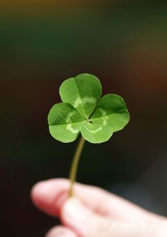 VOLTACTIONの修学旅行！