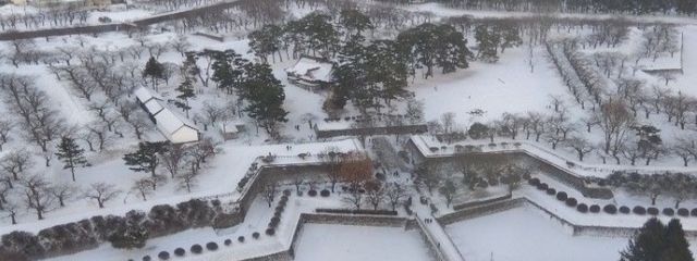 人生の主人公さんの壁紙画像