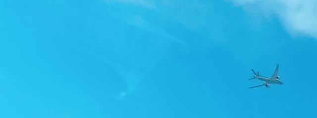 雪音さんの壁紙画像