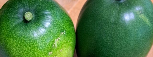 ザトウクジラ(シロナガス)さんの壁紙画像