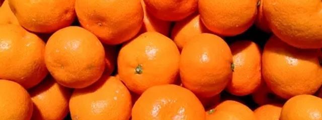ぶさんの壁紙画像