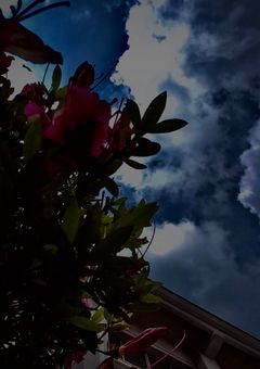 ポエミングミング【再公開】