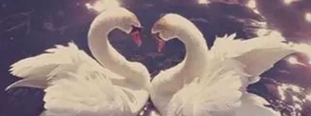 四字単語さんの壁紙画像