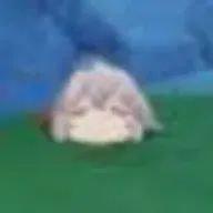 あげみさんのアイコン画像