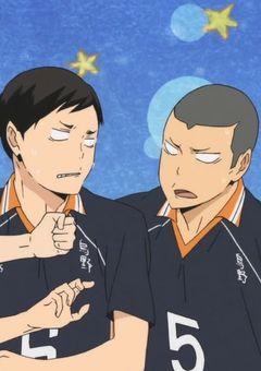 宮ツインズの幼なじみは烏野マネ