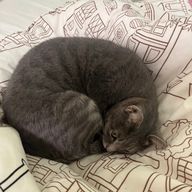あーちゃんさんのアイコン画像