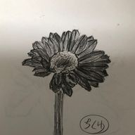 漆黒のパンツさんのアイコン画像