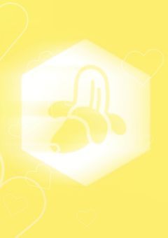 運命のパートナー