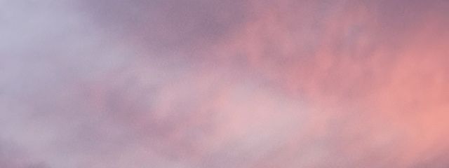 シュガ🤍❄️_被害者さんの壁紙画像