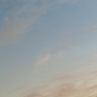 シュガ🤍❄️_被害者さんのアイコン画像